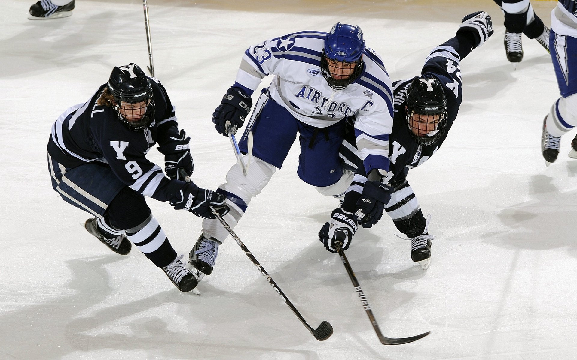 湖人队士气高昂,誓夺季后赛门票,湖人主场时隔8年再迎季后赛